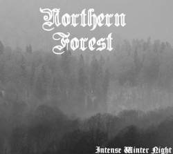 Northern Forest : Intense Winter Night